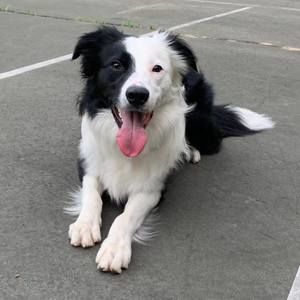 Meet your Posher, Luiz gustavo